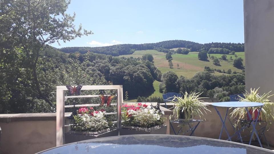 Gite Moderne Proche De Kaysersberg Av Jacuzzi Prive 奥尔贝 外观 照片